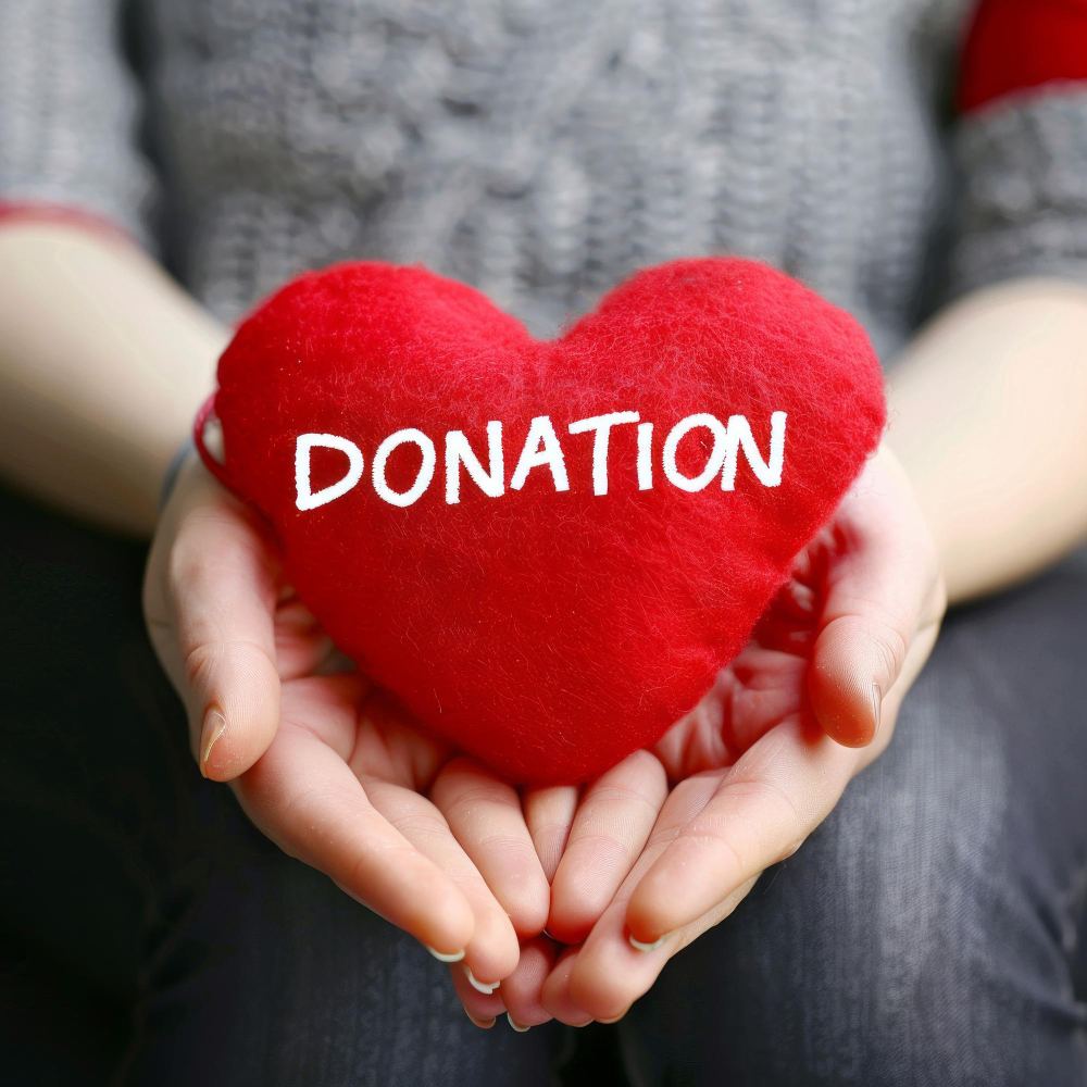 Photo of hands holding a felt heart with DONATION written on it