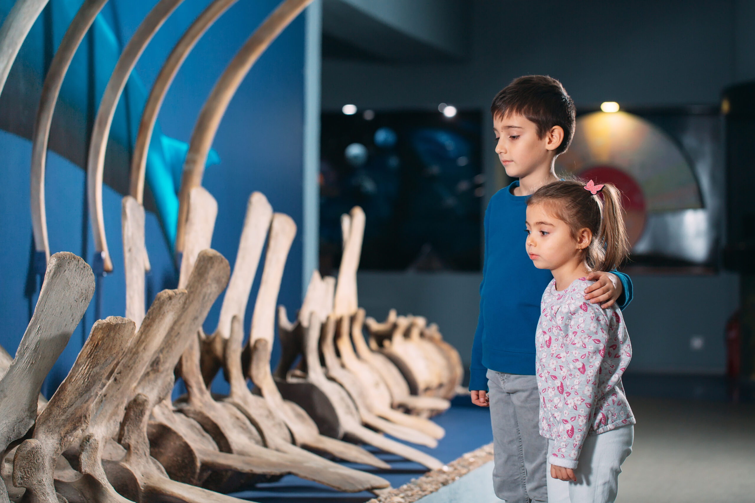 Photo of Kids at the Museum