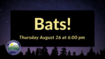 Bats!: Presented by DEEP