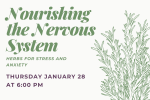 Nourishing the Nervous System: Herbs for Stress and Anxiety