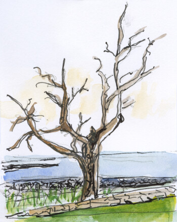 Haycock Point